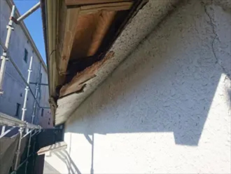 剥がれによって内部が見えている軒天